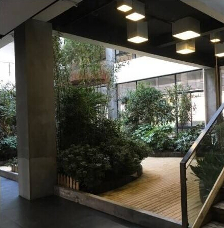 大树下创意园 (3).jpg