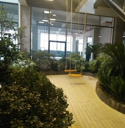 大树下创意园 (1).jpg