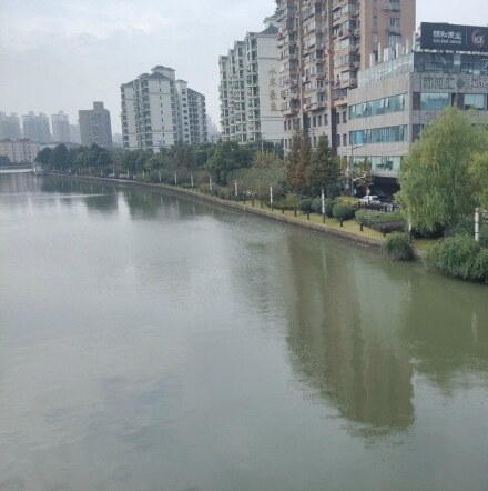 苏河汇 (5).jpg
