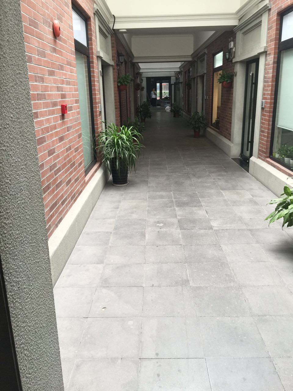 190507924457605624.jpg