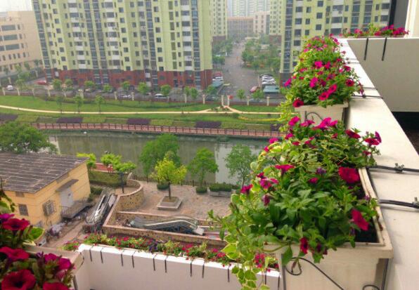 QQ截图20171101095348.jpg