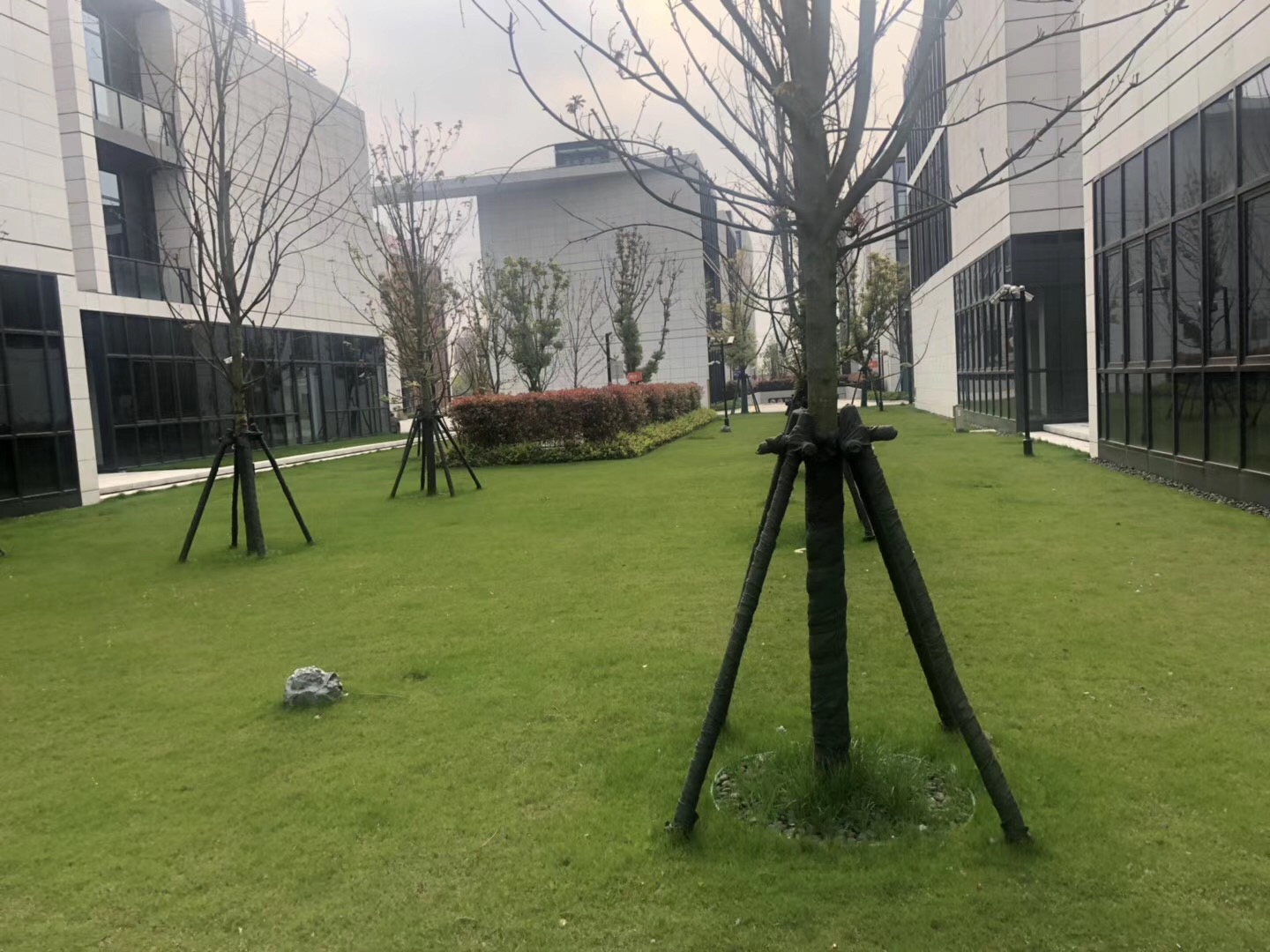 微信图片_20190415161836.jpg