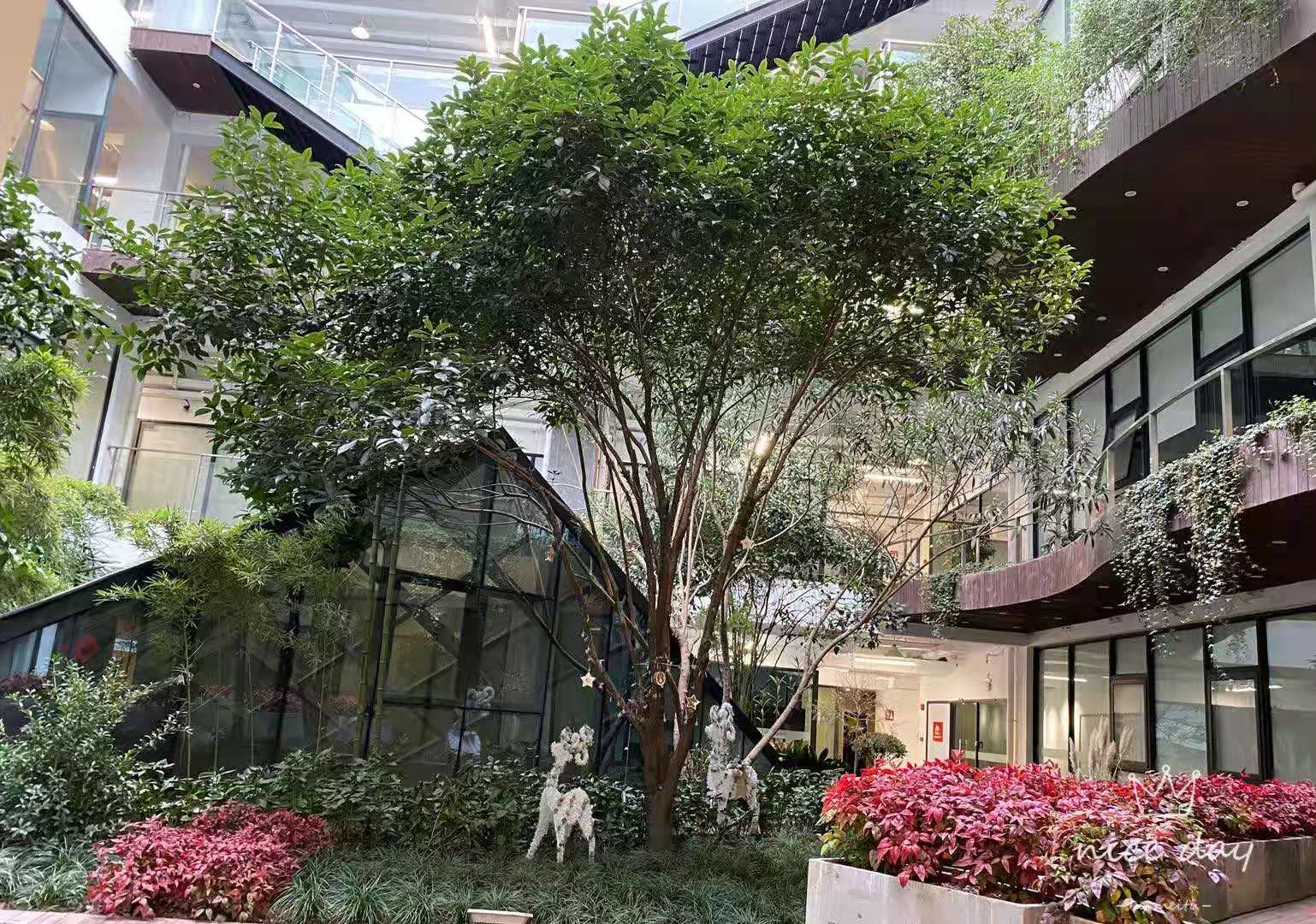 微信图片_20210628100029.jpg