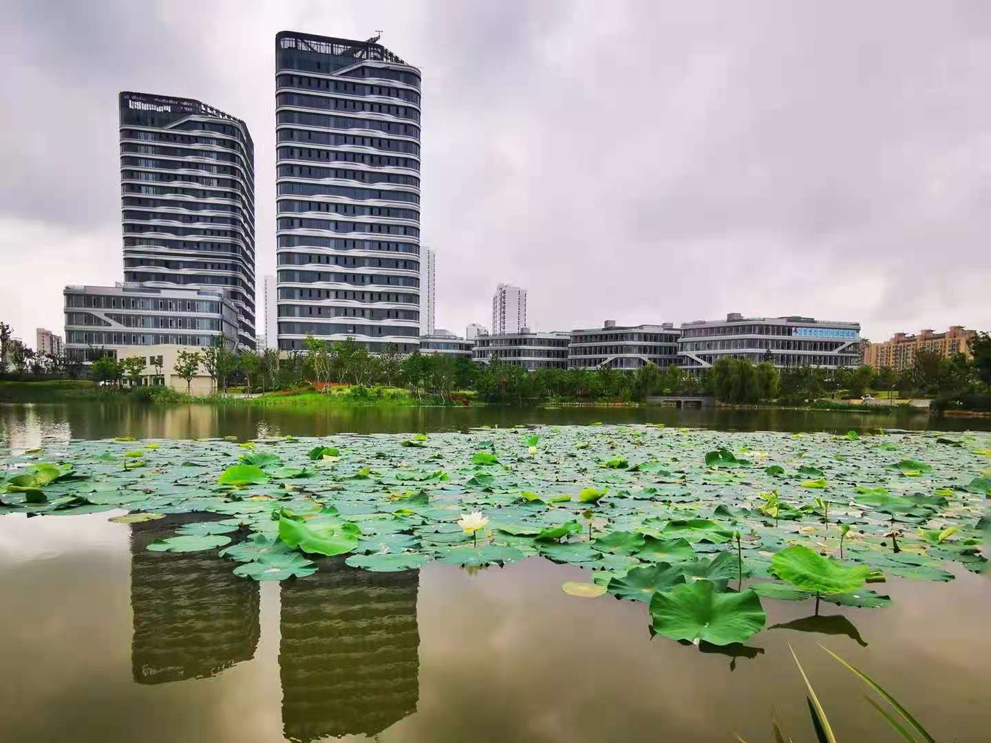 微信图片_20210715170616.jpg
