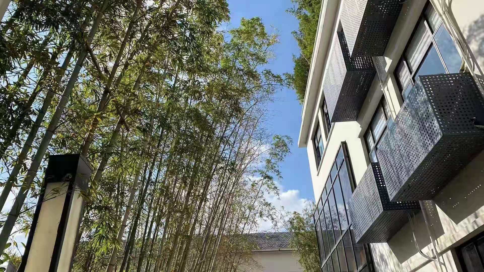 微信图片_20210817102238.jpg